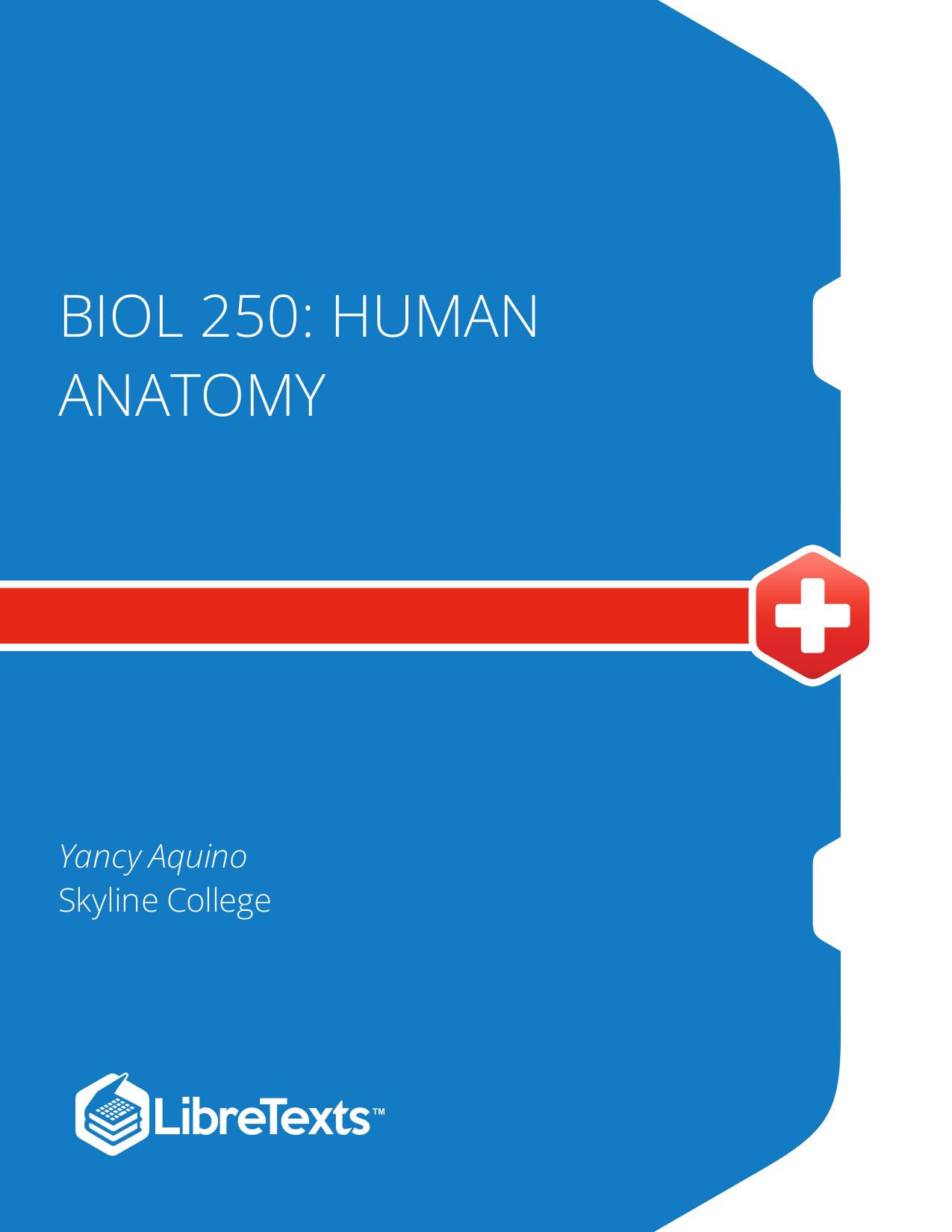BIOL 250: Human Anatomy
