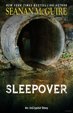 Sleepover