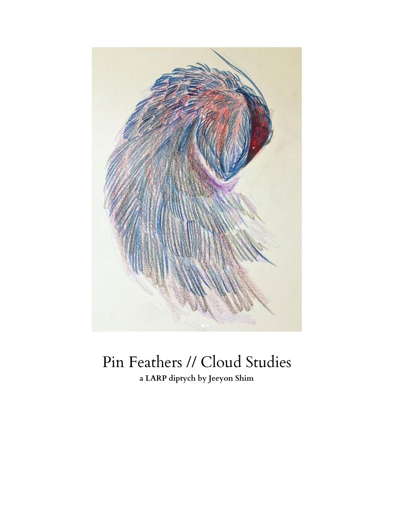 Pin Feathers // Cloud Studies