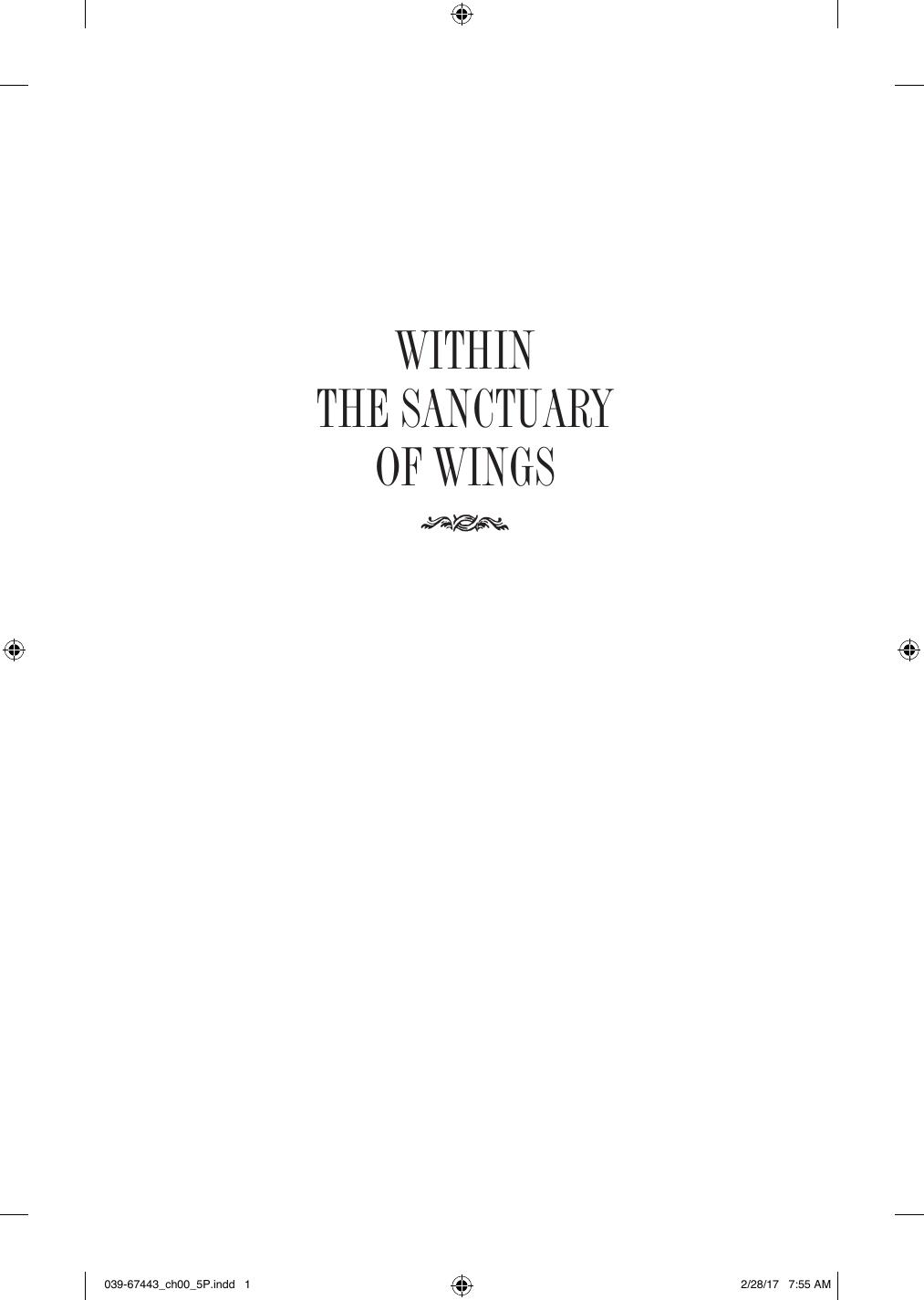Within the Sanctuary of Wings